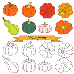 Set of pumpkin vegetable vector clip art. Orange and green pumpkin line color icons and outline objects.