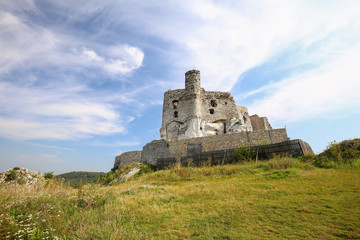 Fototapeta na wymiar Scenic view of the castle ruins in Mirow village. Poland.
