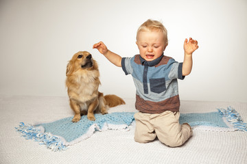 Angst vor dem Hund