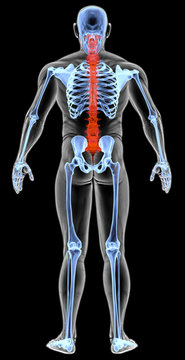 man's body under X-rays. spine bones are highlighted in red. 3D illustration.