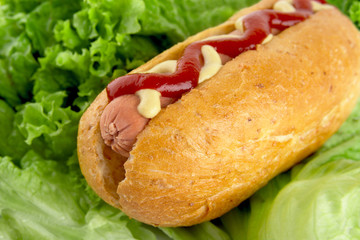 Hotdog with mustard and ketchup with lettuce in the background