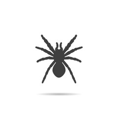 Spider Silhouette, icon.