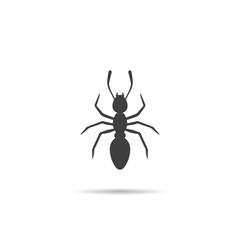 Icon, Silhouette of a Ant .