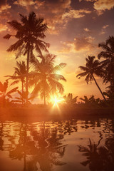 Fototapeta na wymiar Sunset on Kerala backwaters