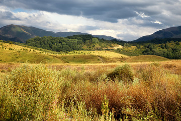 Summer landscape in the mountains of Dzungarian Alatau, Kazakhstan, Central Asia