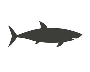 Obraz premium Big Shark Outline Icon