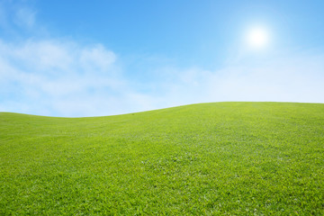 background of green field with blue sky