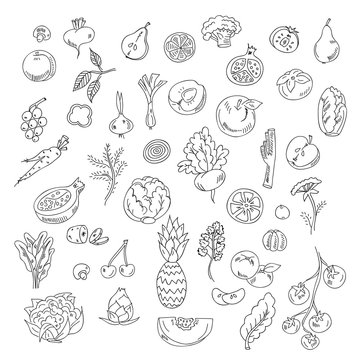 Set doodles elements vegetables and fruits. Vegeyarian food