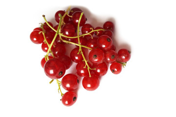 red currant - summer acid berry