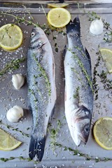 Raw Sea Bass Fish with spices and herbs, top view