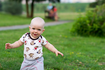 Cute baby boy playing and laughing in the park. Summer is around a lot of greenery  interesting things for crumbs. Kid 1 year