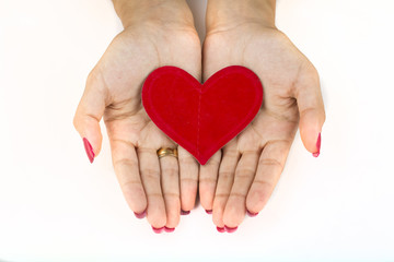 Fototapeta premium Kadın Eli Ve Kalp