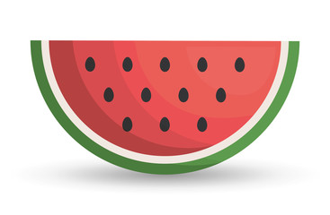 watermelon healthy organic food icon. Colorful and flat design. Vector illustration