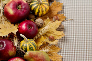 Naklejka na ściany i meble Autumn holiday Thanksgiving. Still life with pumpkin and apples,