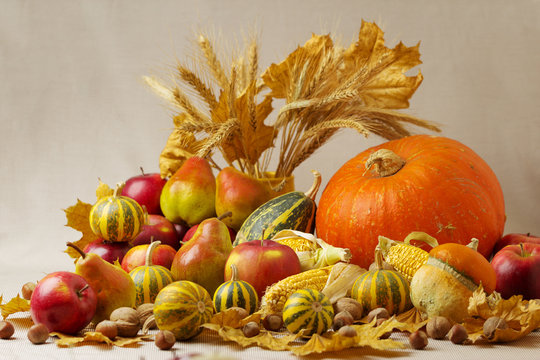 Autumn holiday Thanksgiving. Still life with pumpkin and apples,