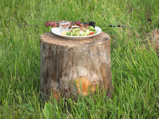 White plate with fresh vegetables, potatoes, fried meat and a shot of vodka standing on the old tree stump on the background of cut grass