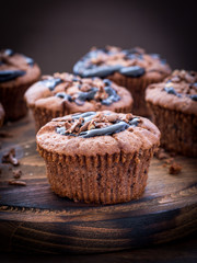 Chocolate Muffins