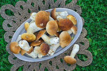 Boletus edulis (king bolete) on a grass and mat