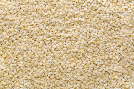 background of sesame seeds close-up shot