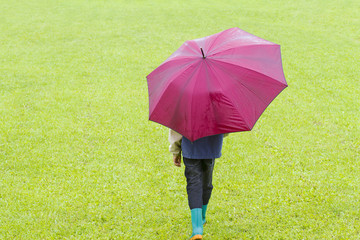 Little boy with red umbrella in the rain. Back view