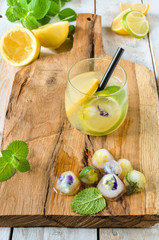 Fresh mojito drinks with lime, lemon and mint on cutting board