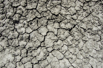 scorched esrth background