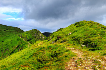 Fototapeta premium Picturesque Carpathian mountains landscape, trail on the ridge, Ukraine.