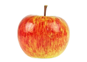 Apple isolated on a white background