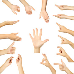 The Hand on a white background, collage