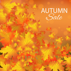 Naklejka na ściany i meble Autumn sales vector background with maple leaves
