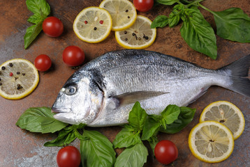 Raw fish Dorado