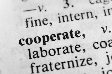 Obraz premium Współpracować