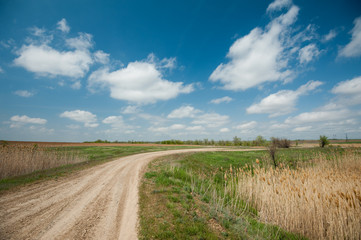 Fototapeta na wymiar Empty rural road on sunny april day.