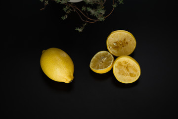 Pieces of fresh organic lemon 
