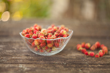 red berries on beautiful background