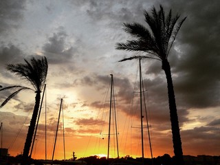tramonto barche palme