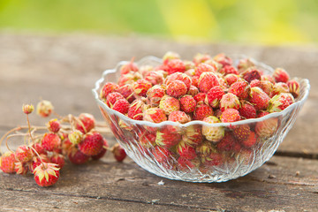 red berries on beautiful background
