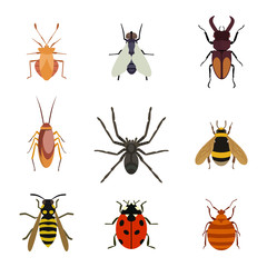 Insect icons flat set isolated on white background