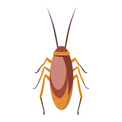 Cockroach bug cartoon flat vector.