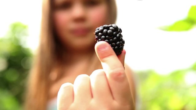 Young girl picking fresh blackberries in a field