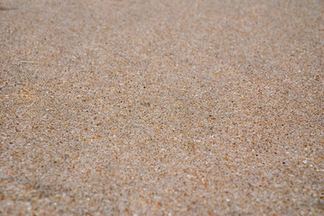 Fototapeta na wymiar Close up of grains of sand on a beach in South Africa