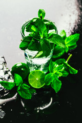 glass of mojito with lime and mint close-up ice cube on a dark background