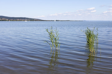 Lake Balaton