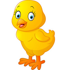Cute chicken cartoon