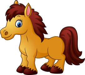 Cartoon funny horse