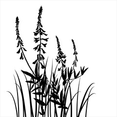vector silhouettes of flowers and grass