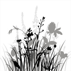 vector silhouettes of flowers and grass