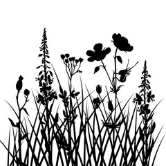 vector silhouettes of flowers and grass
