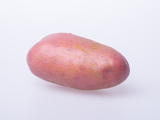 potato or red potato on a background.
