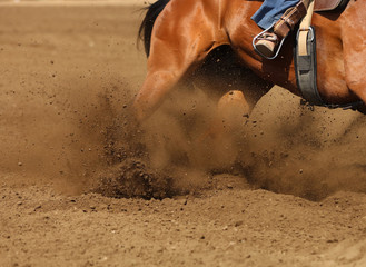 A racing horse skidding in the dirt.